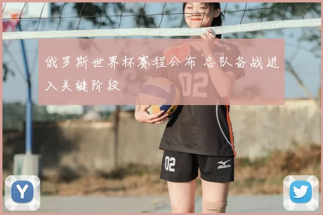 俄罗斯世界杯赛程公布 各队备战进入关键阶段