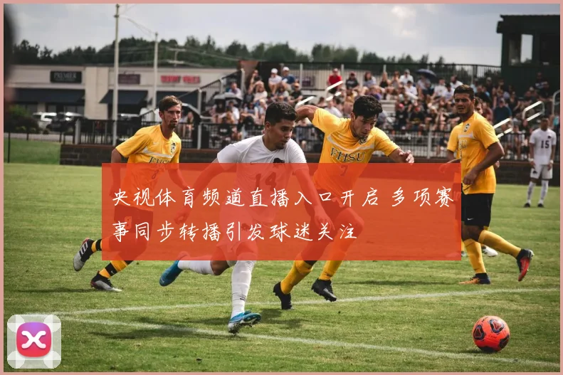 央视体育频道直播入口开启 多项赛事同步转播引发球迷关注