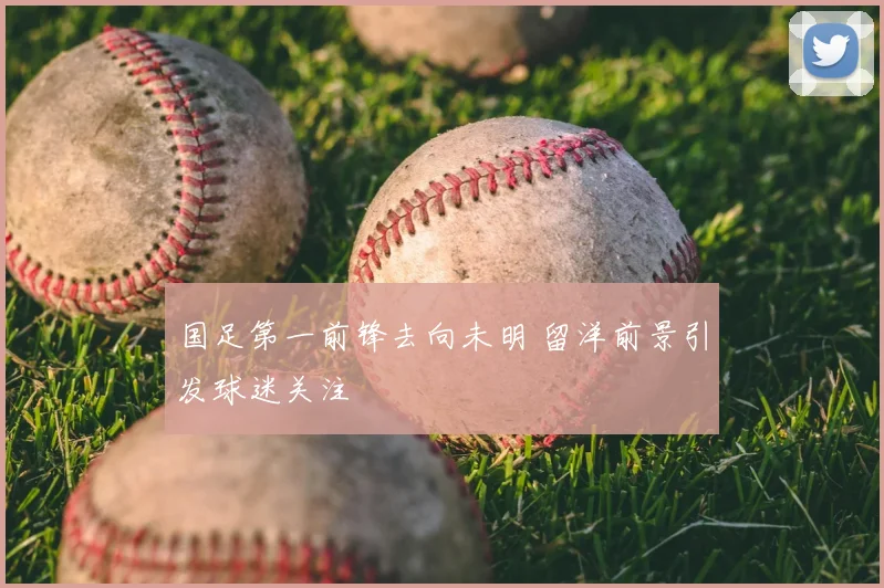国足第一前锋去向未明 留洋前景引发球迷关注